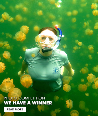 The winner of our 2014 Photo Competition