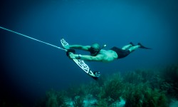 It�s playtime with Eco Yacht Toys