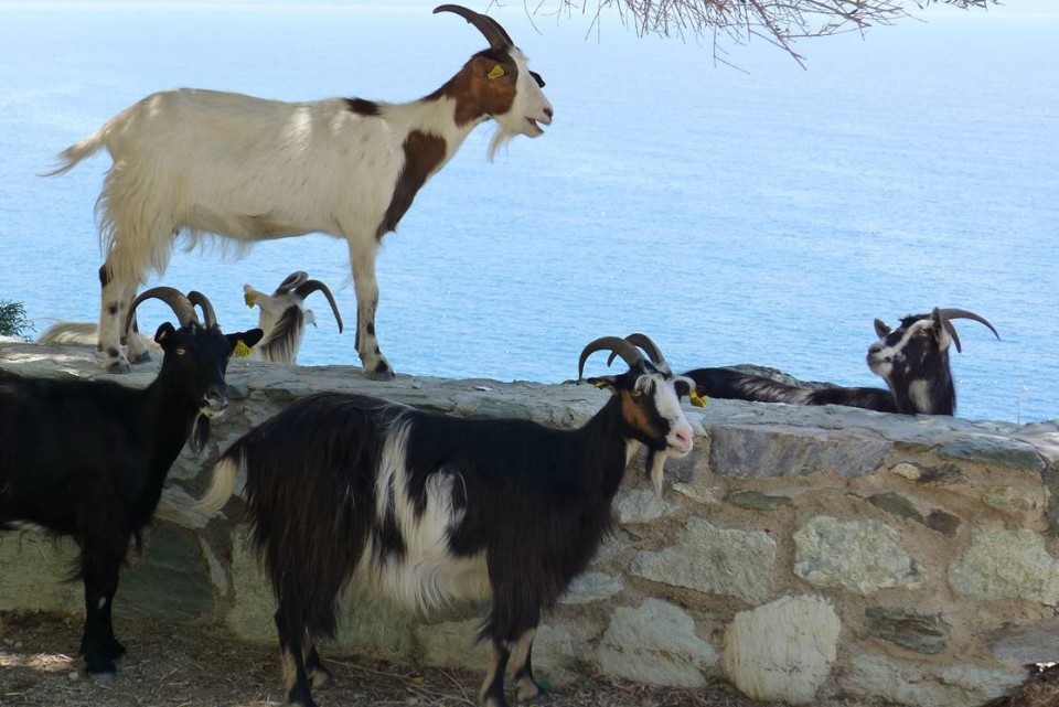 Corsica & Sardinia