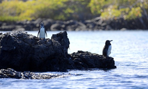 Galapagos Islands