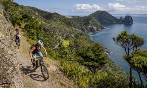 Coromandel