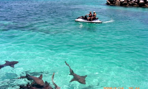 Bahamas