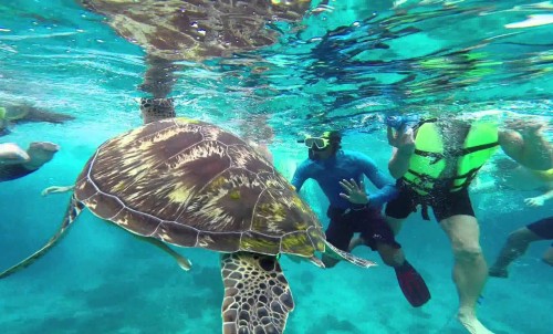 Similan Islands