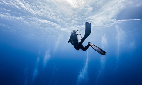 Diving the Seven Seas