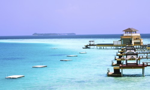 Marine Conservation Efforts And 5 Celebrities Who Endorse Them