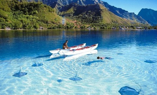 Top Charter Tips From Our Experts