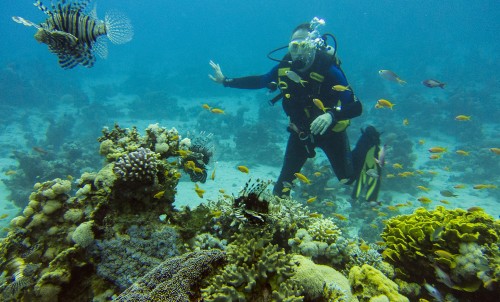 SCUBA Safety - Do You Need An Assessment?