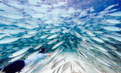 Diving In The Med With Bluewater