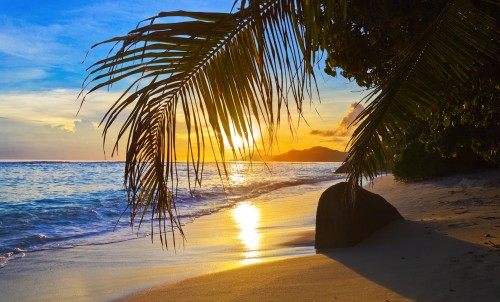 What Is Your Preferred Caribbean Destination?