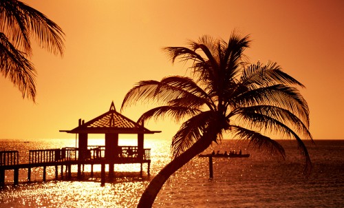 Blue & Beyond #6 - The Best Places To Spend New Year’s Eve